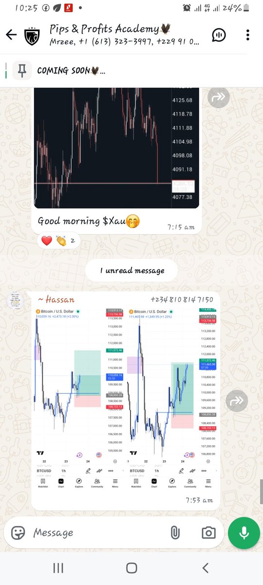 Pips & Profits Academy tweet media