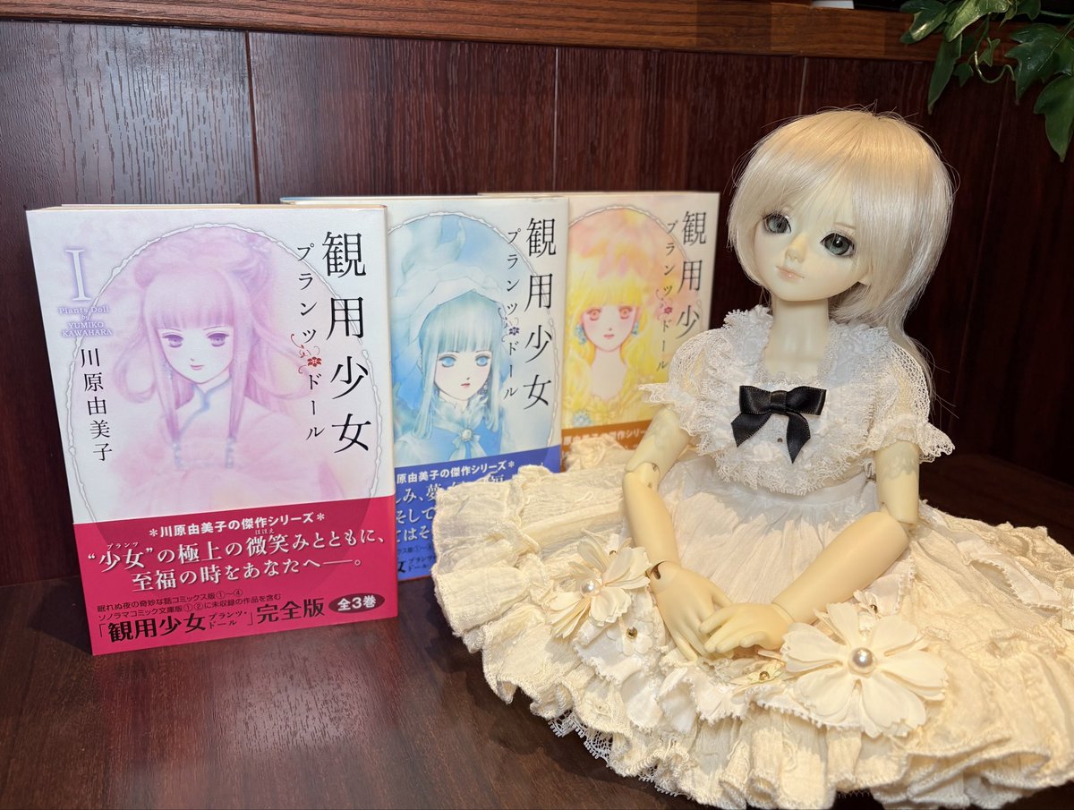 COCOページ ソフトペタル (Soft Petal)