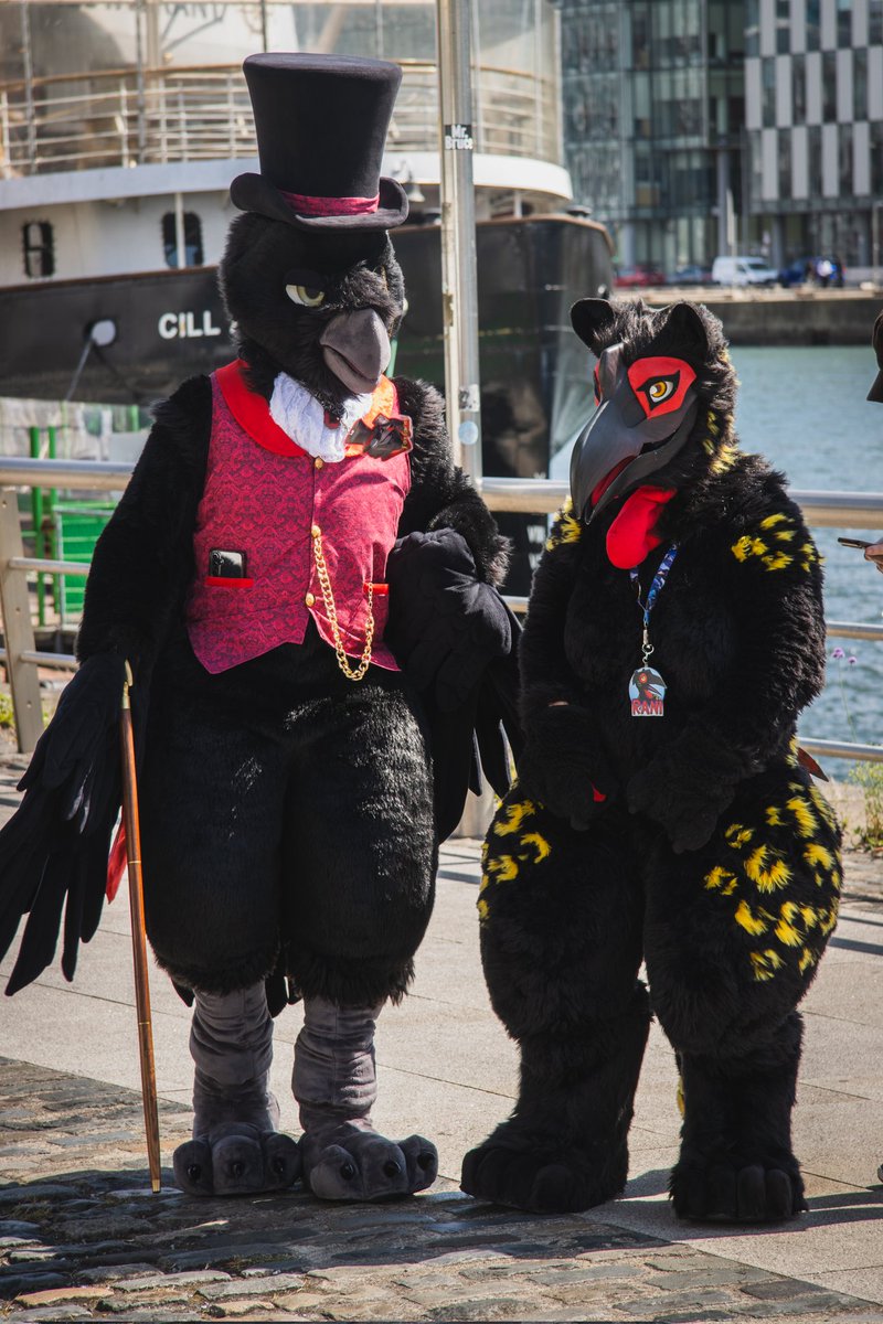 Ah, there's nothing quite like bringing your lovely bird lady for a walk down the promenade! 🐦‍⬛ 🦜 ✨

🦜: <a href="/RaniBirb/">Rani ✨</a>
🪡: <a href="/lemonbrat/">Lemonbrat@MFF! 🌈🍋💛</a>
📸: (Insta)jasper_the_canis 

#fursuit #friday #fursuitfriday #furryfandom #furry #furryoc #fursuiting #avian #bird #corvid #raven #crow #hornbill