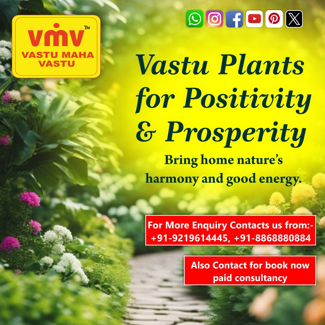 VastuMaha's tweet image. 🌿 Vastu Plants for Positivity &amp;amp; Prosperity
In Vastu Shastra, plants are not just elements of decoration..........
Read More- l1nq.com/ld1yQ
📞 : +91-9219614445 | +91-8868880884
🌐 : vastumahavastu.com
#VastuRemedies #VastuConsultant #VMV #VastuMahaVastu