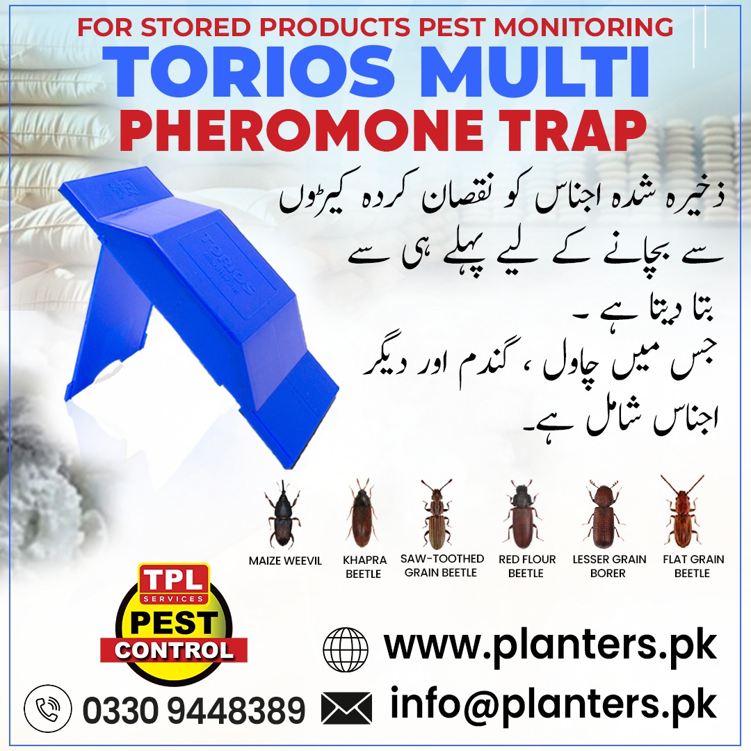 TPLPestControl's tweet image. اپنی محفوظ شدہ اجناس کو کیڑوں سے محفوظ رکھیں!
ٹوریوس ملٹی فیرومون جال
 Call: 0512303380
 website: plante.com
visit our daraz store: daraz.pk/shop/gsyzdz7m
#TPLPestControl #PremoPlus #Insecticide #MosquitoControl #FlyControl #TickControl #PestFreeHome #PublicHealth