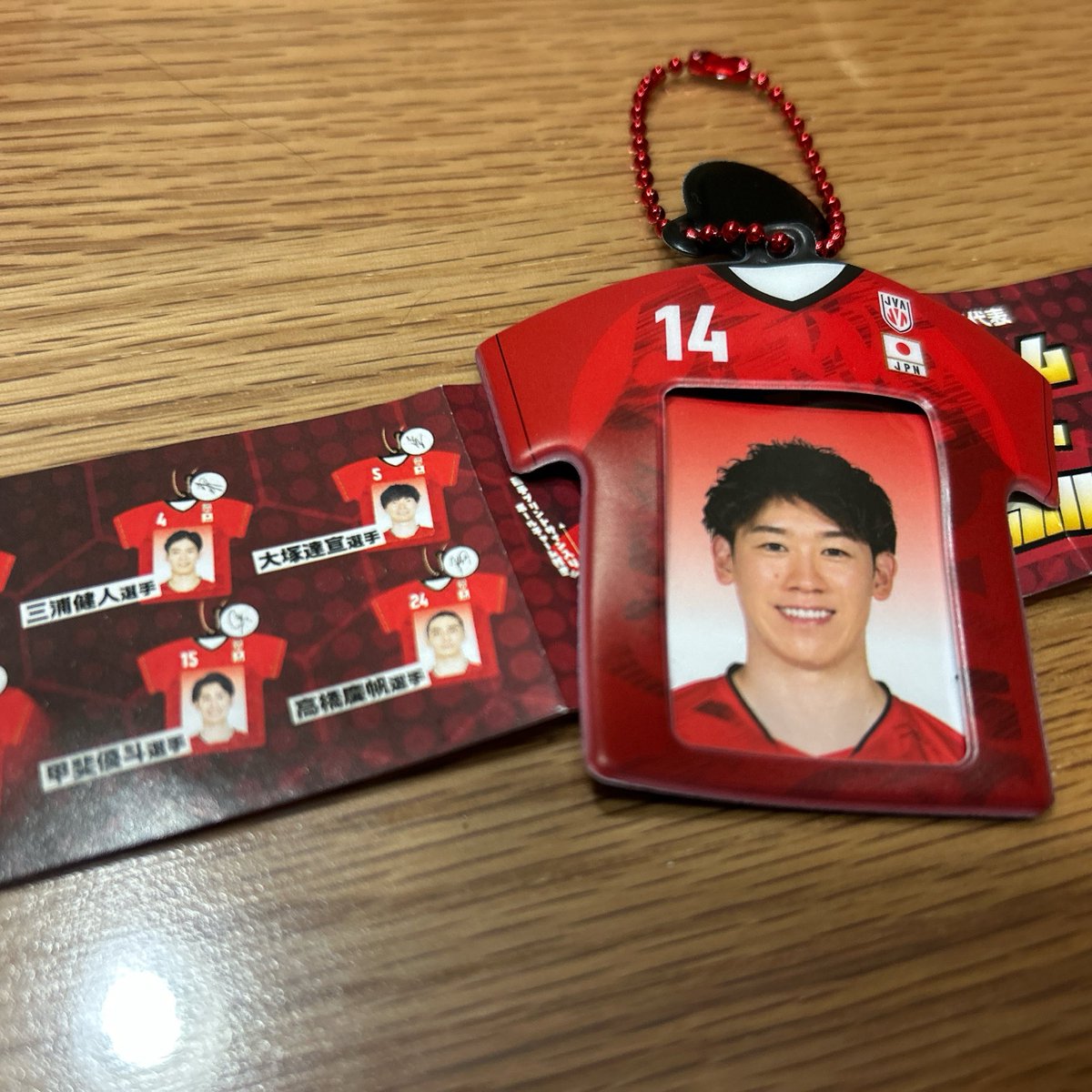 バレーボール 男子 ユニフォームミニフォトホルダー バレーボール日本