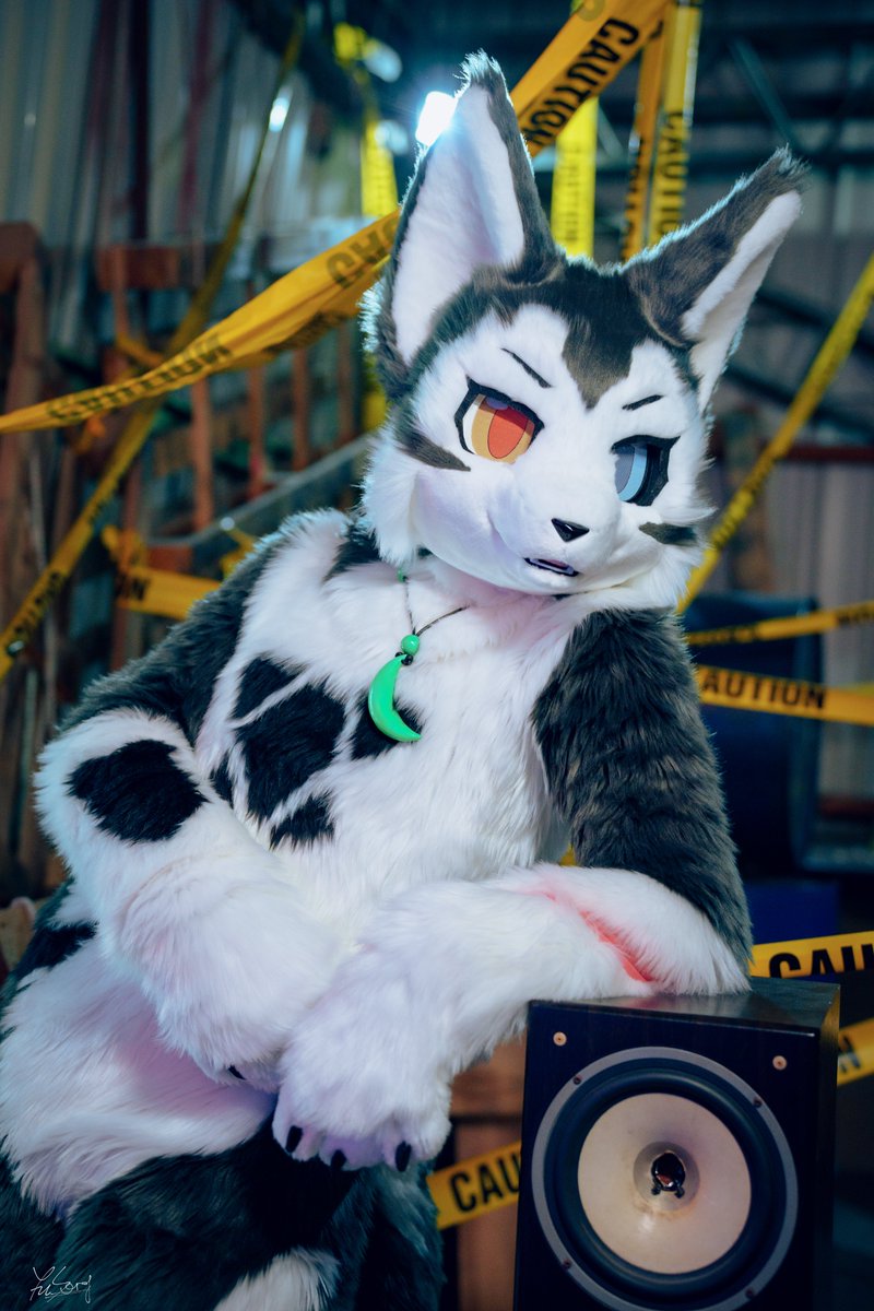 霜牙❄️しも🐺FrostFang tweet media