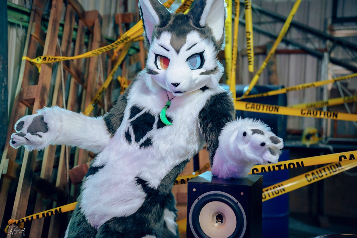 霜牙❄️しも🐺FrostFang tweet media