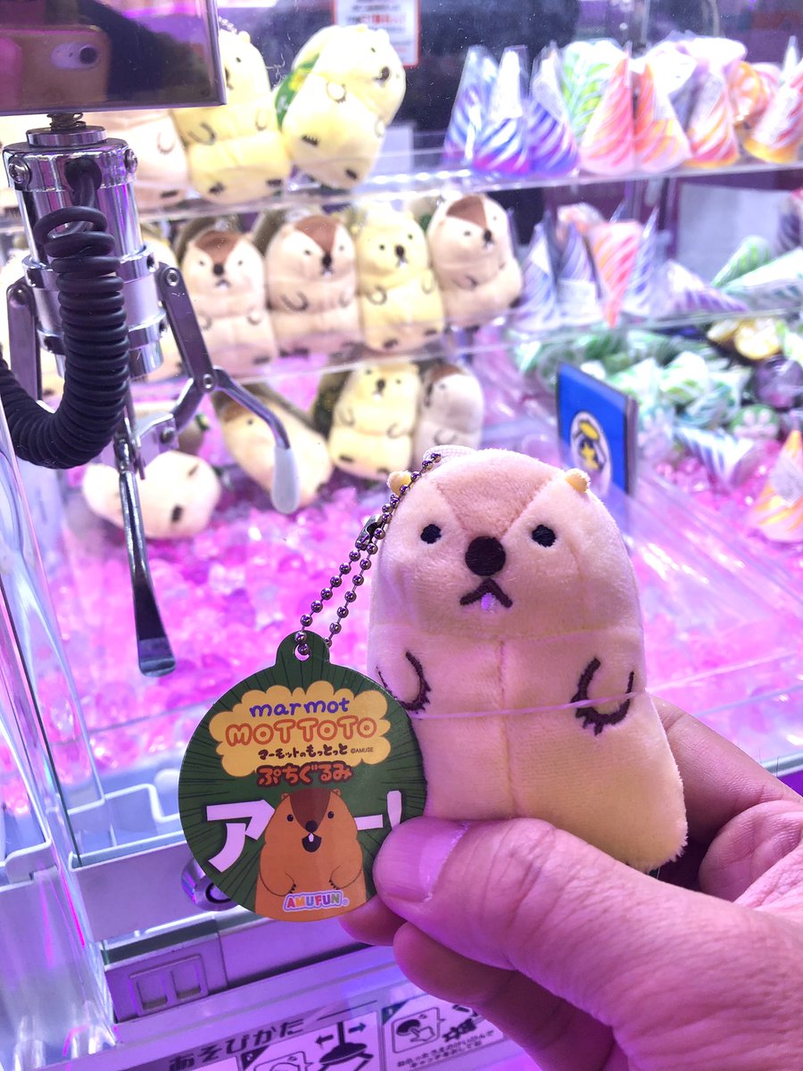 タケシ❀ TAKEO KIKUCHI 【10%クーポン】 タケオキクチ TK クラッチバッグ