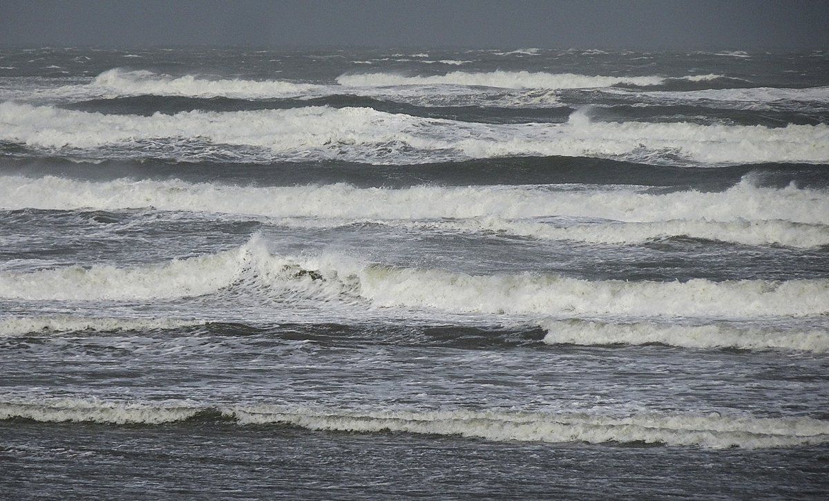 HettieZurMuhlen's tweet image. Storm #Benjamin 💪 Afvaarten waren tijdelijk onmogelijk🌊🌊🌊
#Ameland #haven #waddenzee #cultureelerfgoed #noordzee #eilandleven #genieten