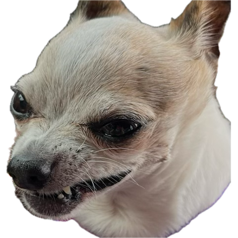 ok talk to me fucked me up a lil bit...my goal for today/this weekend is to watch bring her back knowing i've only seen a couple of tweets about how seemingly fucked up it is...i'm a big, brave dog