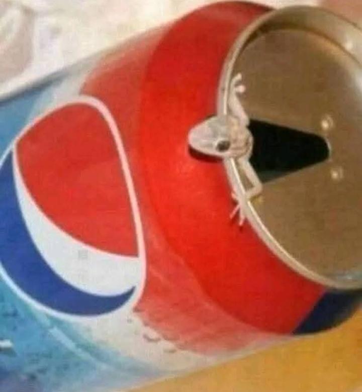 تخيل تشرب #الببسي كامل
ويطلعلك هذا يكلك عوافي ع كلبك