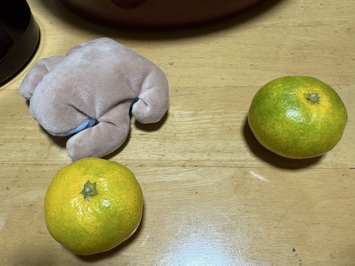 そら飛ぶけろ！
と思ったら落下。
#けろ散歩