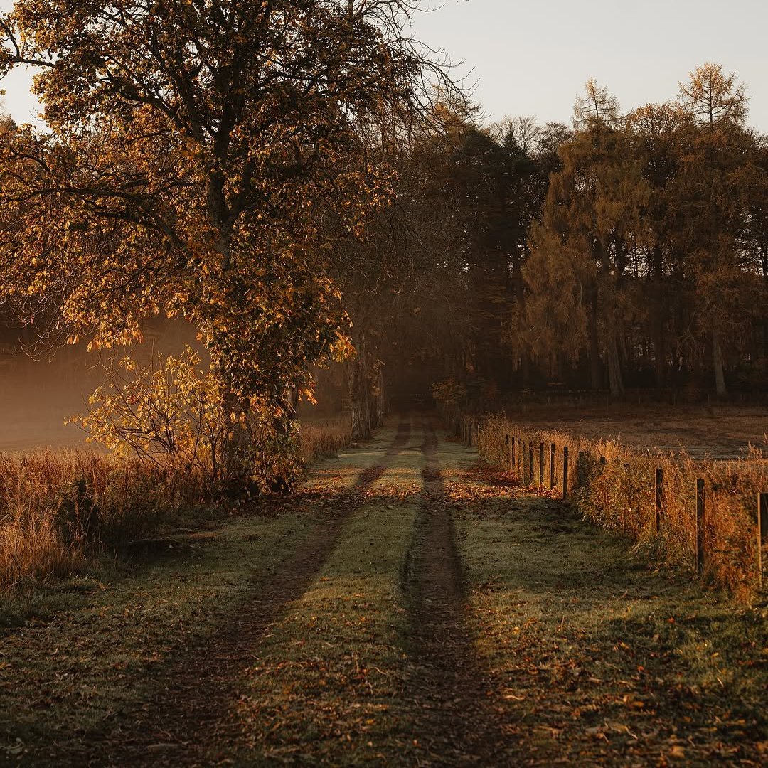 visualsofearth1's tweet photo. Autumn walks in Scotland 🍂 https://t.co/3u9ZvT5zu5