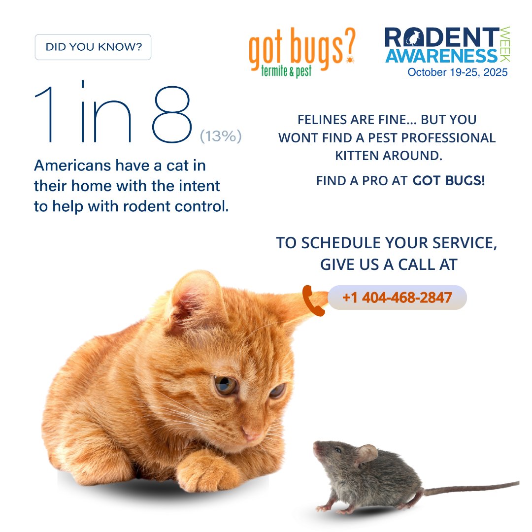 GotBugsTPS's tweet image. Fun Cat-Themed Post
😸 Cats are great—but when it comes to rodents, you need the real pros. 🐭
Trust the experts this Rodent Awareness Week (Oct 19–25).
📞 Schedule your service today: +1 404-468-2847
#RodentAwarenessWeek #pestcontrol #gotbugs #Atlanta