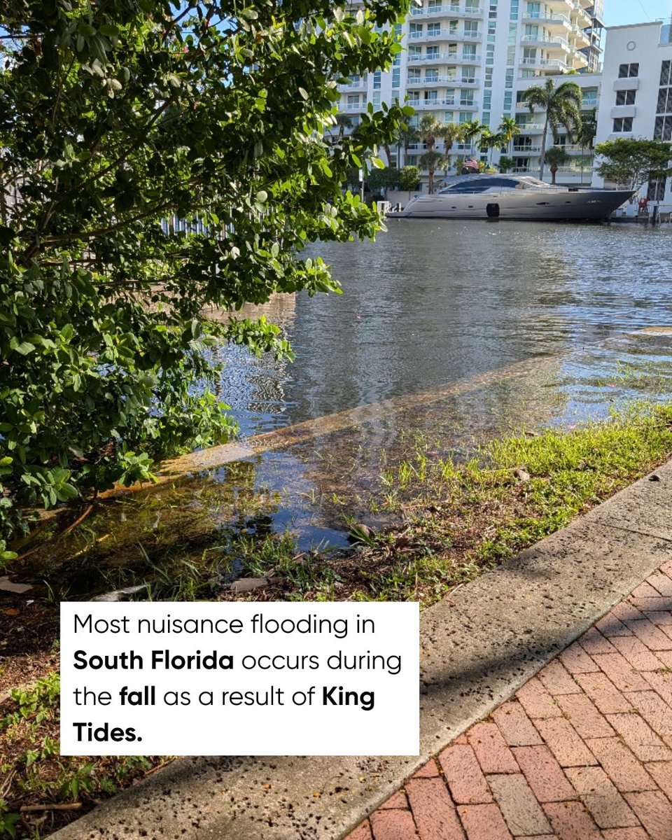 It's Flood Education Friday! 🌊
What are nuisance floods?
Nuisance floods are floods that are more disruptive than damaging, having a limited depth and extent.
#KingTides #FloodEducation #SouthFlorida #BrowardCounty #CoastalCommunities #HighTide #TideWatch #Flooding