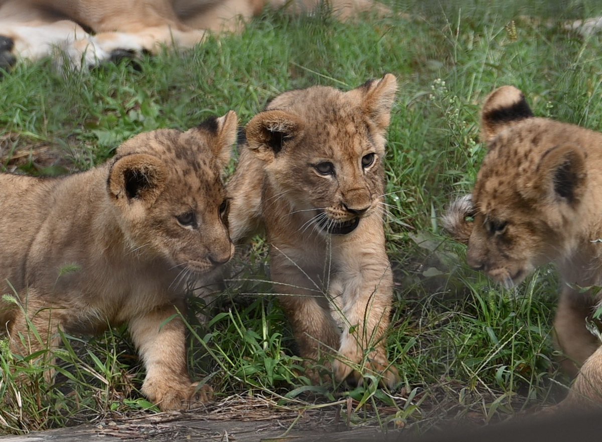 happy2525 (@happy2525bell) / Posts / X