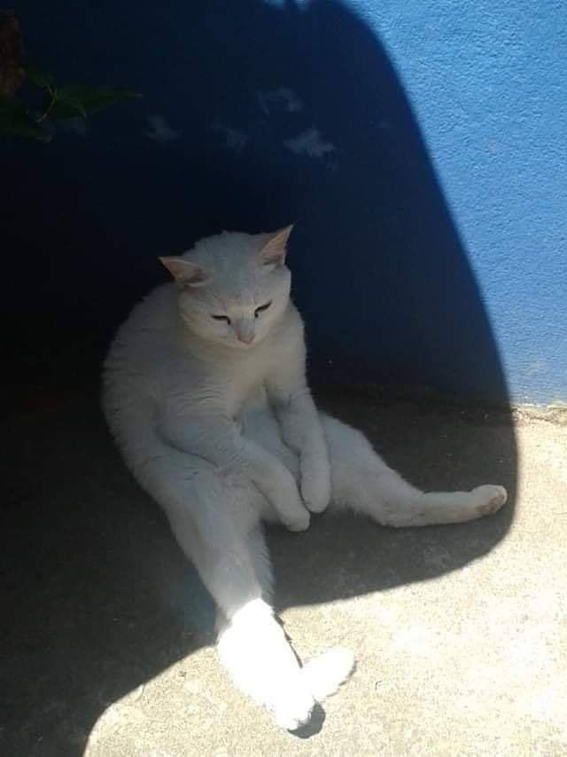 𝘈𝘴𝘵𝘰𝘯 tweet media