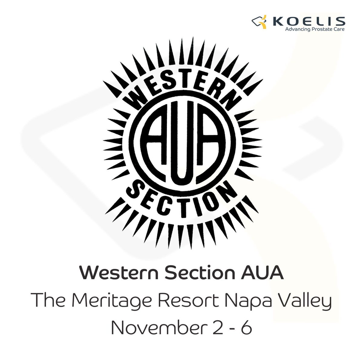 KoelisBx's tweet photo. Our team had a great time at last year's Western Section AUA, and we can't wait for this year's meeting in Napa Valley! 
Stop by booth 405 at The Meritage Resort from November 2-6 to meet the KOELIS team and get hands-on experience with our Trinity system. https://t.co/f0YsI2x140