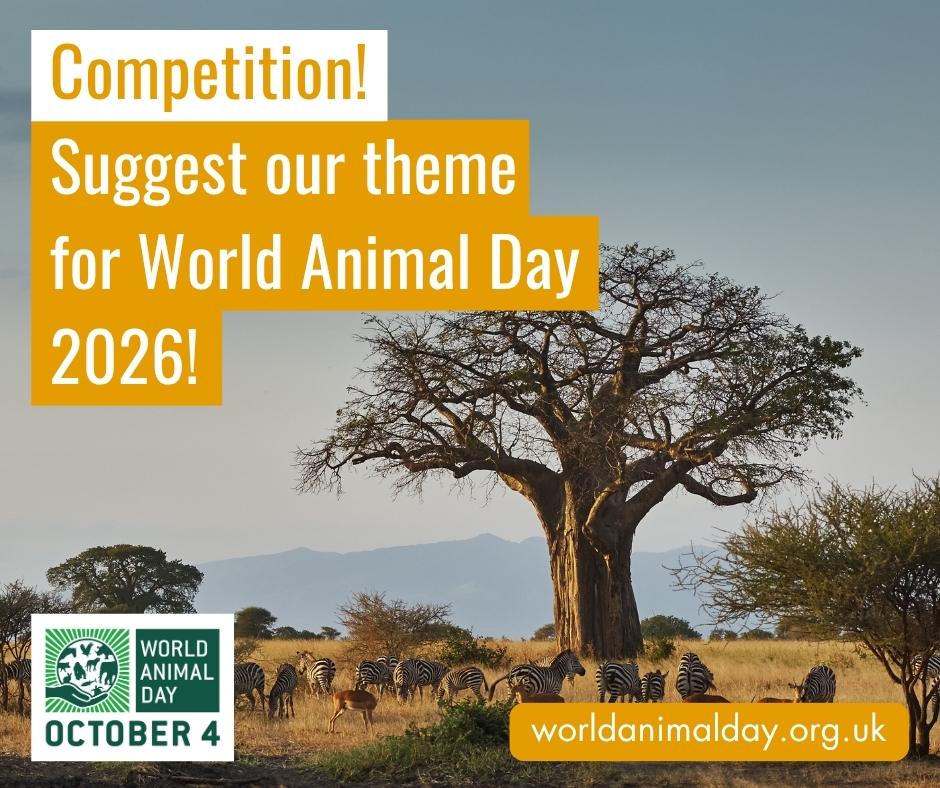 What should the 2026 World Animal Day theme be?

Last year we celebrated ‘Save Animals, Save the Planet’ — now it’s your turn to inspire the world! 🌎✨

Send your theme idea to info@worldanimalday.org.uk for a chance to win a World Animal Day pin! 🐾💚