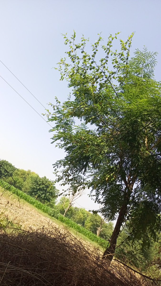 omartinswilliam's tweet photo. Green side 🌍 https://t.co/lvNxUrkuM2