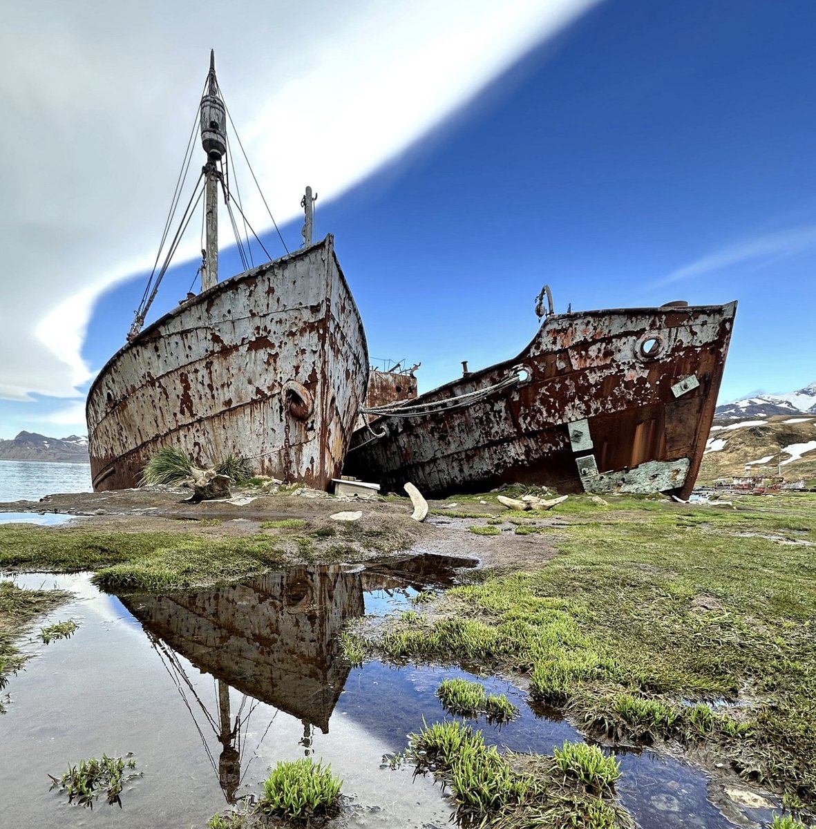 ricksammon's tweet image. Some iPhone favs fro the bottom of the world.
@KelbyOne @Apple #iphone16pro