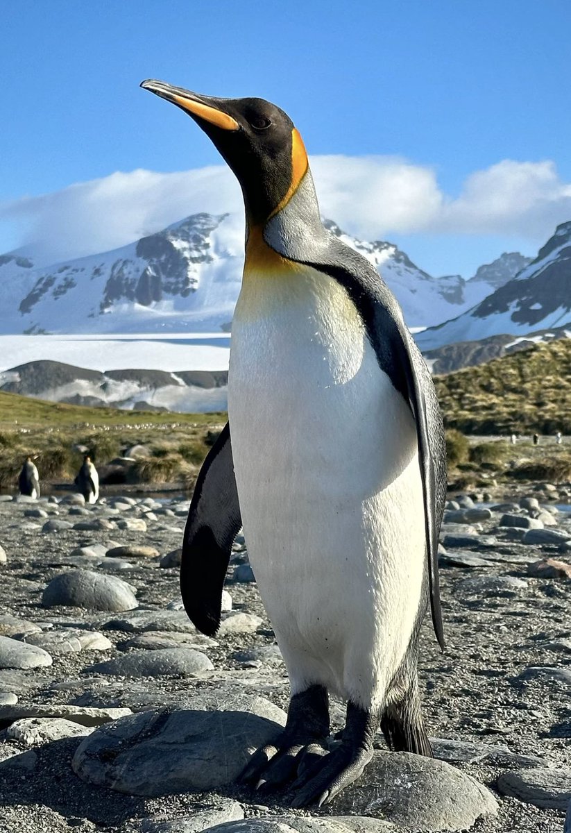 ricksammon's tweet image. Some iPhone favs fro the bottom of the world.
@KelbyOne @Apple #iphone16pro