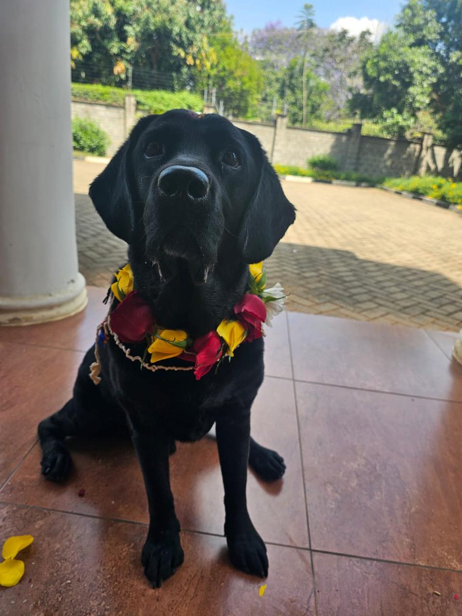 Sid Shrestha tweet media