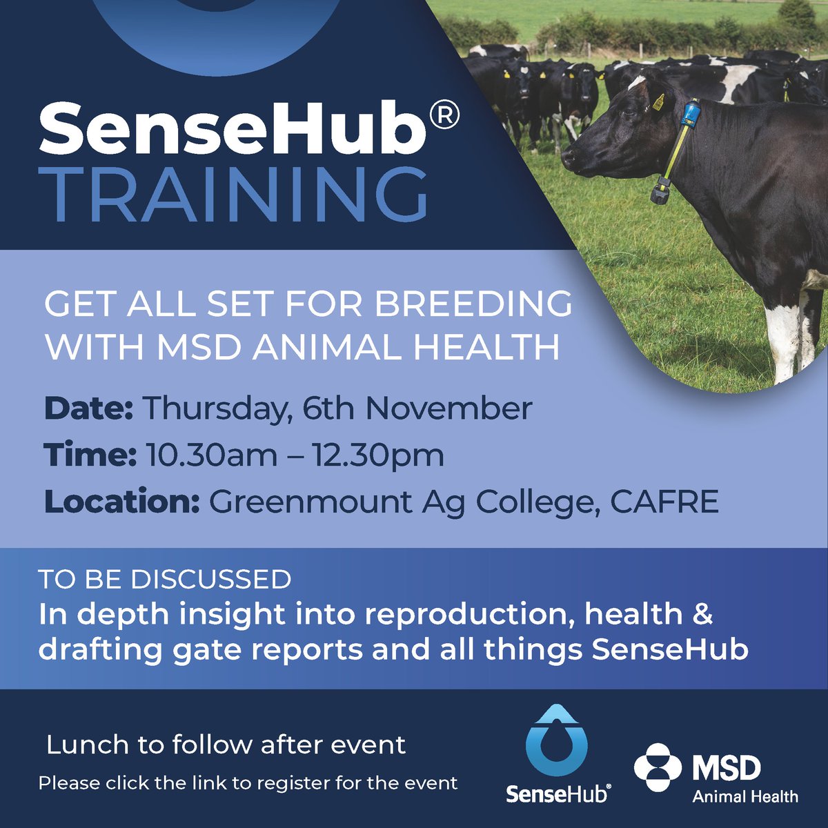 Our in-person #SenseHub training events continue next week!🐄

Whether you’re new to SenseHub or looking to get more from your system, these expert-led sessions will give you the confidence to maximise herd fertility, health, and performance.

👉eventbrite.nl/e/182780649141…