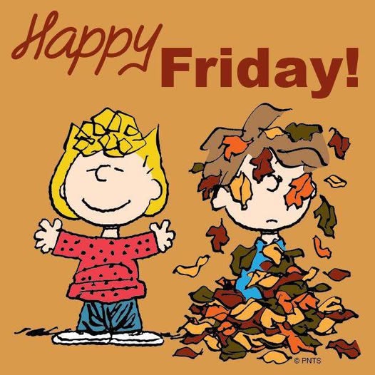 java_karla's tweet image. Good morning!