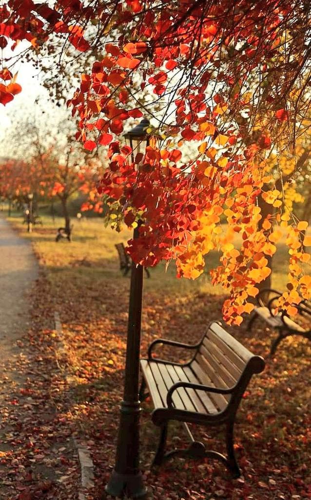 شام بخیر  ۔ ۔ ۔ 🍁

آپ چھوڑیں بہار کی باتیں ہم خزاوں میں ملنے والے ہیں  ۔ ۔ ۔ 
غفلتوں میں گنوا رھے ہو  ہم دعاؤں میں ملنے والے ہیں  ۔ ۔ ۔ 

☕️🛹
🌿☘️🍀

#ALIIMRANN
#قومی_زبان