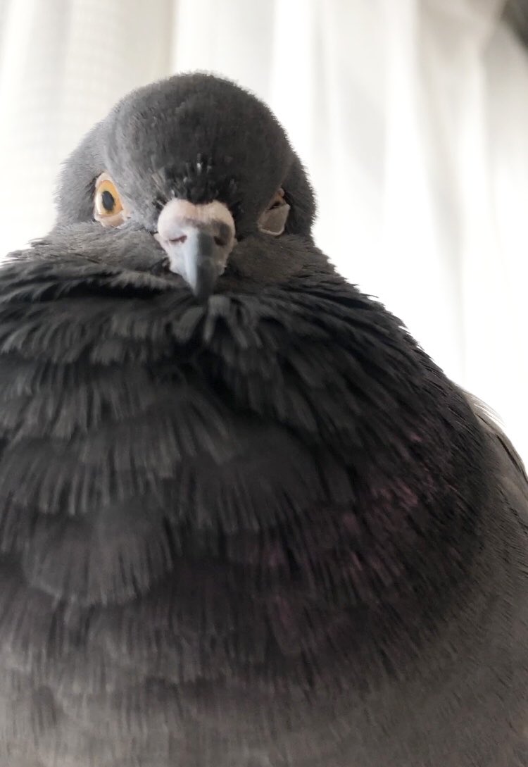 E6%B1%A0%E3%81%A1%E3%82%83%E3%82%93