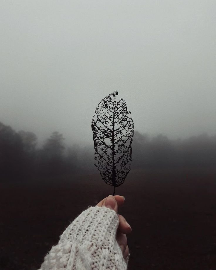 november
stealing pastel colors
from the made-to-order
leafy portraits of October
filling in 
with clearly just chagrin
just empty nothing
poking in it viewing
portals of missing 
bits of interstitial

#poetry 
#poetrycommunity 
#October 
#NOVEMBER