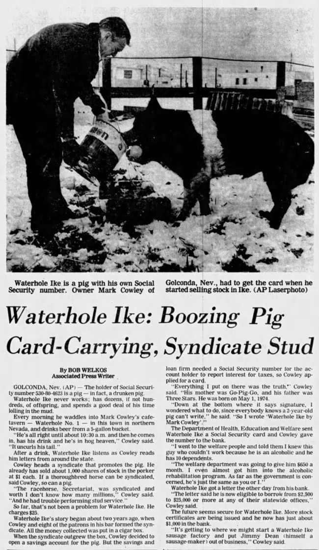 The pig who had a social security number #titleinsurance  #realestate weirduniverse.net/blog/comments/…