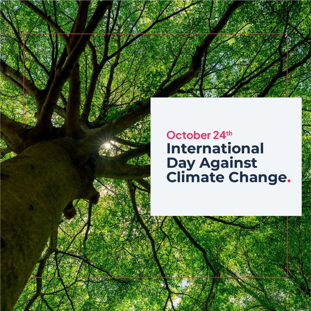 coderio_'s tweet image. International Day Against #ClimateChange 🌱🌻This day reminds us how urgent it is to protect our #planet. At #Coderio, we’re committed to being part of the solution through our partnership with #TreeNation 🌏🌳Small actions create big impacts #Sustainability #GreenInitiatives