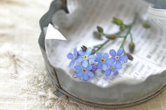 😘🫒
#STARTSFOLLOW
#TmGriffins

<a href="/Aa_ban1/">▄︻ #TmGriffins🦅︻▄</a>
<a href="/Zar_43/">ZARRAR ضرار #ΛᒪBΛЯQ⚡@𝙕𝙖𝙧_𝟰𝟯</a>
<a href="/nbea_h/">#𝕾𝖚𝖕𝖊𝖗𝕱𝖗𝖎𝖊𝖓𝖉𝖘 #𝕿𝖔𝖕𝕱𝖗𝖎𝖊𝖓𝖉𝖘</a>
<a href="/PskDilek/">Dilek 🌊🍃</a>
<a href="/XEpifania3/">Sophie</a>
<a href="/exist0303/">孤高の堕天使</a>
<a href="/papiko7890/">ぱぴこ❤</a>
<a href="/Paloma7725/">P🅰️L🅾️M🅰️ 🔙 F🅾️LL🅾️W ♥️🕊</a>
<a href="/satosato415/">さとぅ🍭Sato🐰🍰</a>
<a href="/Arkana_Buana/">🅰️rkana_🅱️uana</a>
<a href="/nunespereirabr/">𝑀𝑎𝑟𝑖𝑎 𝒥𝑜𝑎𝑜</a>
<a href="/RobertPage68/">👉Robert👈 〰️#EliFriends〰️</a>
<a href="/claregreen351/">ꨄ🍃🌸Clare Green🌸🍃ꨄ</a>
<a href="/luis_montesinos/">Luis Miguel Clavijo 🇪🇸💚 🇪🇦</a>
<a href="/_aditi_kumari_/">Aditi Kumari Singh 🐬#MGWV 🐬#1DDRIVE</a>
<a href="/Quinn4Rory/">FollowTrick</a>
<a href="/Alana__28/">#AmigosD❤ #LoveDmami</a>
<a href="/WALLI27/">Jhon f perez🎶🎸🚵☯🎄🎀</a>
<a href="/kamil_gk/">kamil ali gök</a>
<a href="/mgor2021/">🆁🅾🅱🅴🆁🆁🅾🆄🅰</a>
<a href="/Lua123_x/">Lua</a>