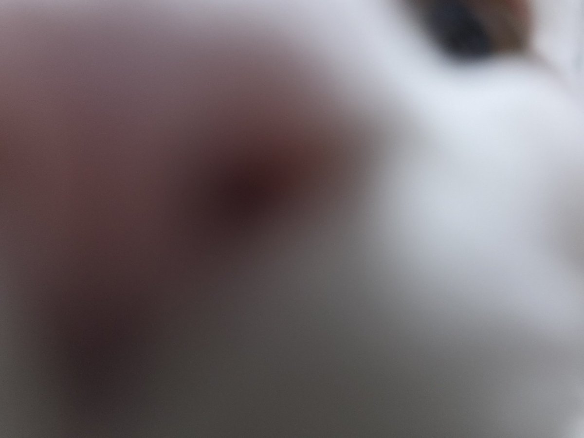 고양이 사진 공유