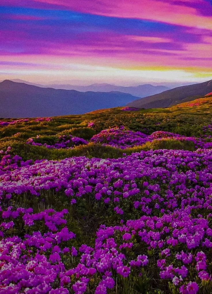 Itz_maham11's tweet image. Good evening 🌙
Forget the stress, enjoy the rest ✨
#EveningMood #RelaxAndUnwind #PositiveVibesOnly