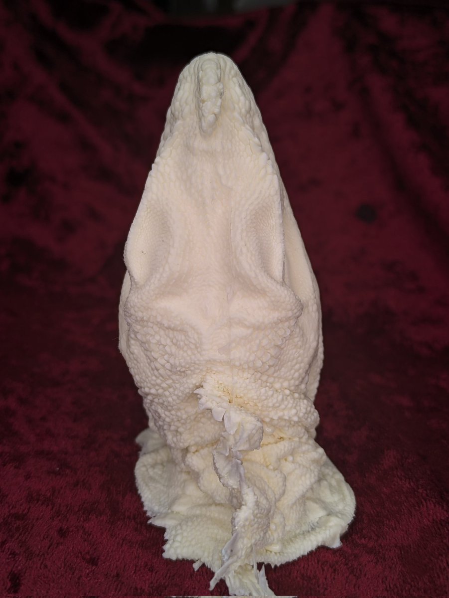 いきもにあで大変ご好評頂いたセレベスホカケトカゲのdeathcastを通販で販売予定です。
今度はグレーorブラックのレジンを予定してます
thebase.page.link/uJeM

#いきもにあ2025おかわり