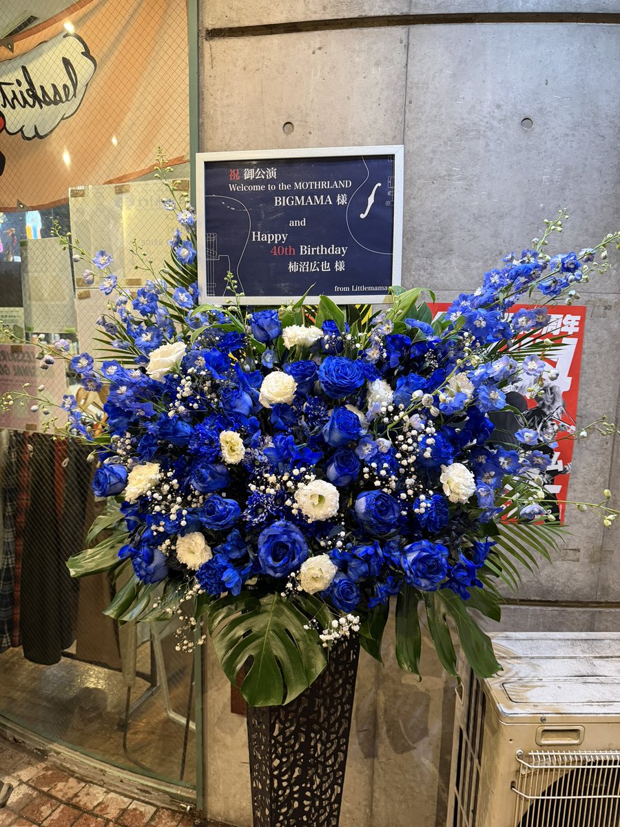 マッサ（感謝） べるまま🐰♡ on X