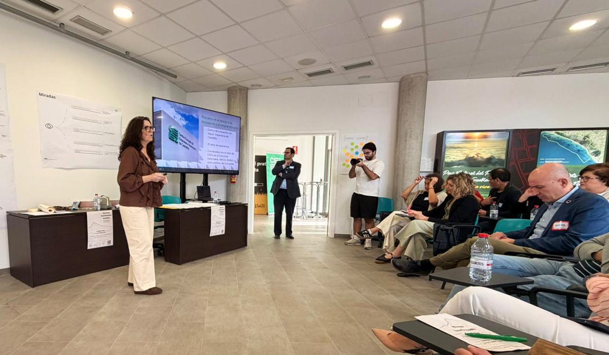 CEEI Castellón tweet media
