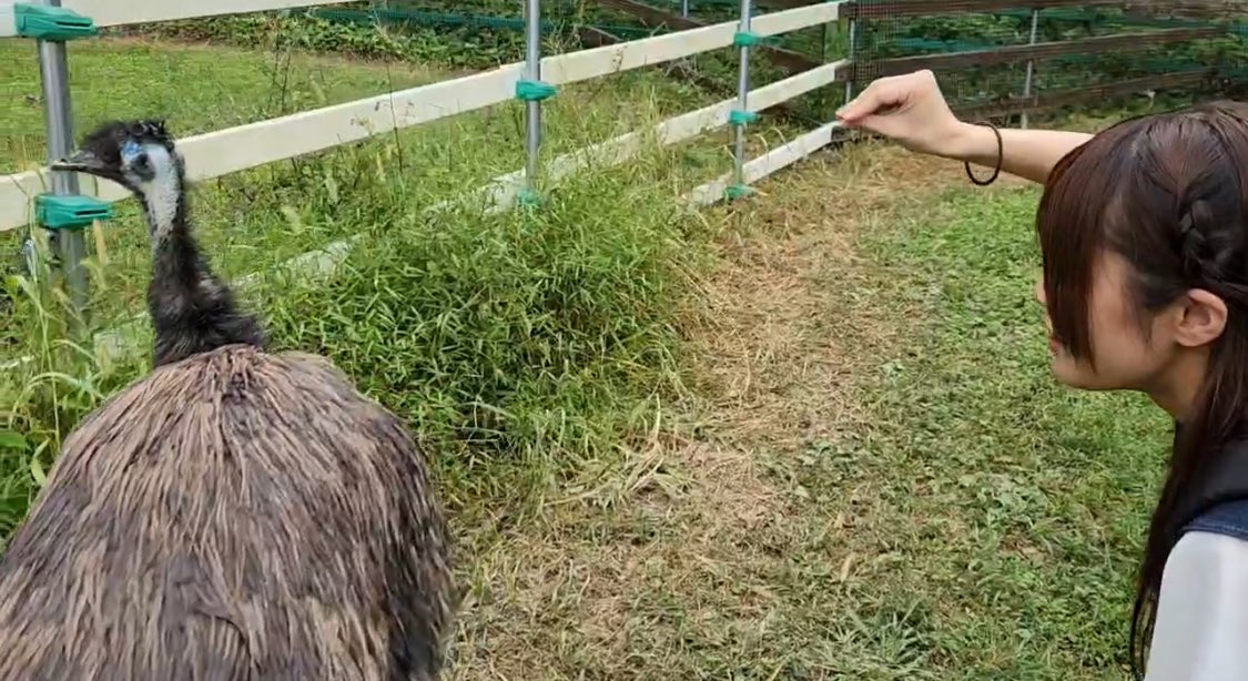 はるまる❀ on X