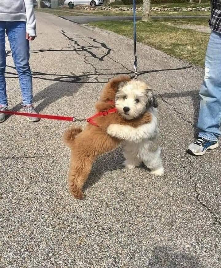 HJ_15bunny's tweet image. #iseenodifference