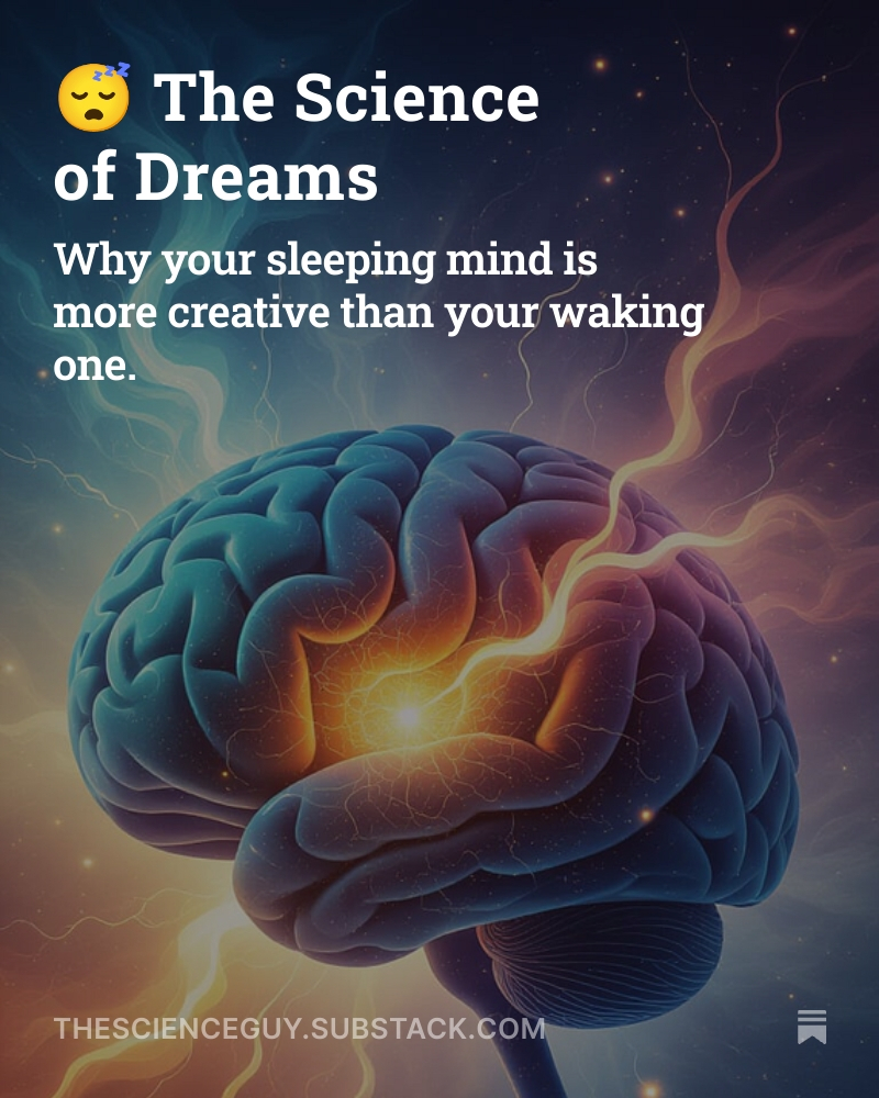 ready2role's tweet image. The Science of Freams
FREE GCSE Science Hub Newsletter: 👇👇

thescienceguy.substack.com/p/the-science-…

#ScienceOnline #LearnScience #OnlineLearning #VirtualClassroom #Science #DigitalLearning #RemoteEducation