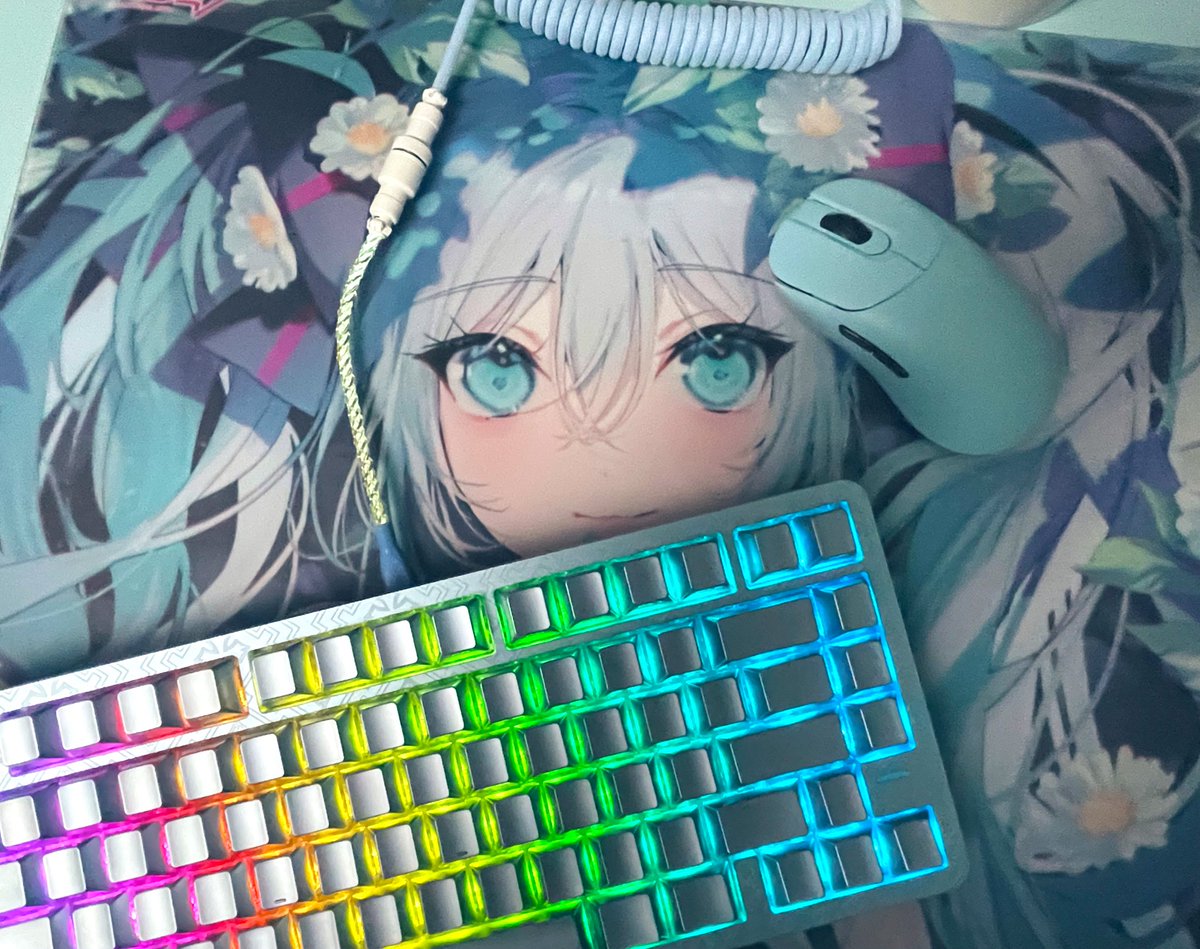 tanosiie's tweet image. IYX Polar 75 Blue…
RGBコイルケーブルも付いてるの最高すぎィ！
性能良し！内部構造を3WAYで変えれる上にクイックリリースで3秒で簡単解体！最高すぎィ！
#Rabbit0