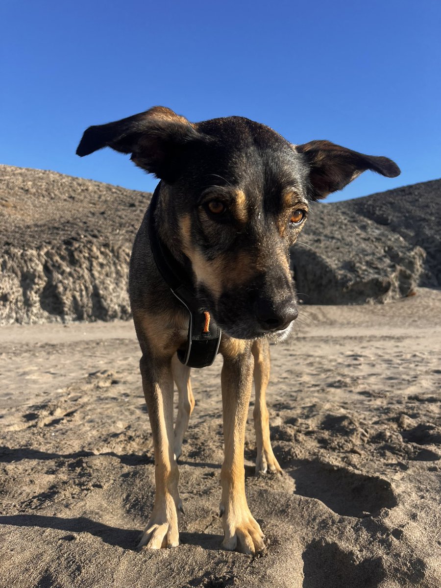Señoras que no quieren volver de las vacaciones:
