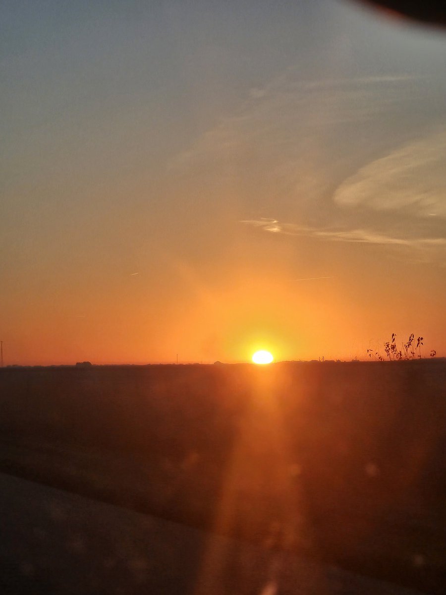 Steve Marvel tweet media