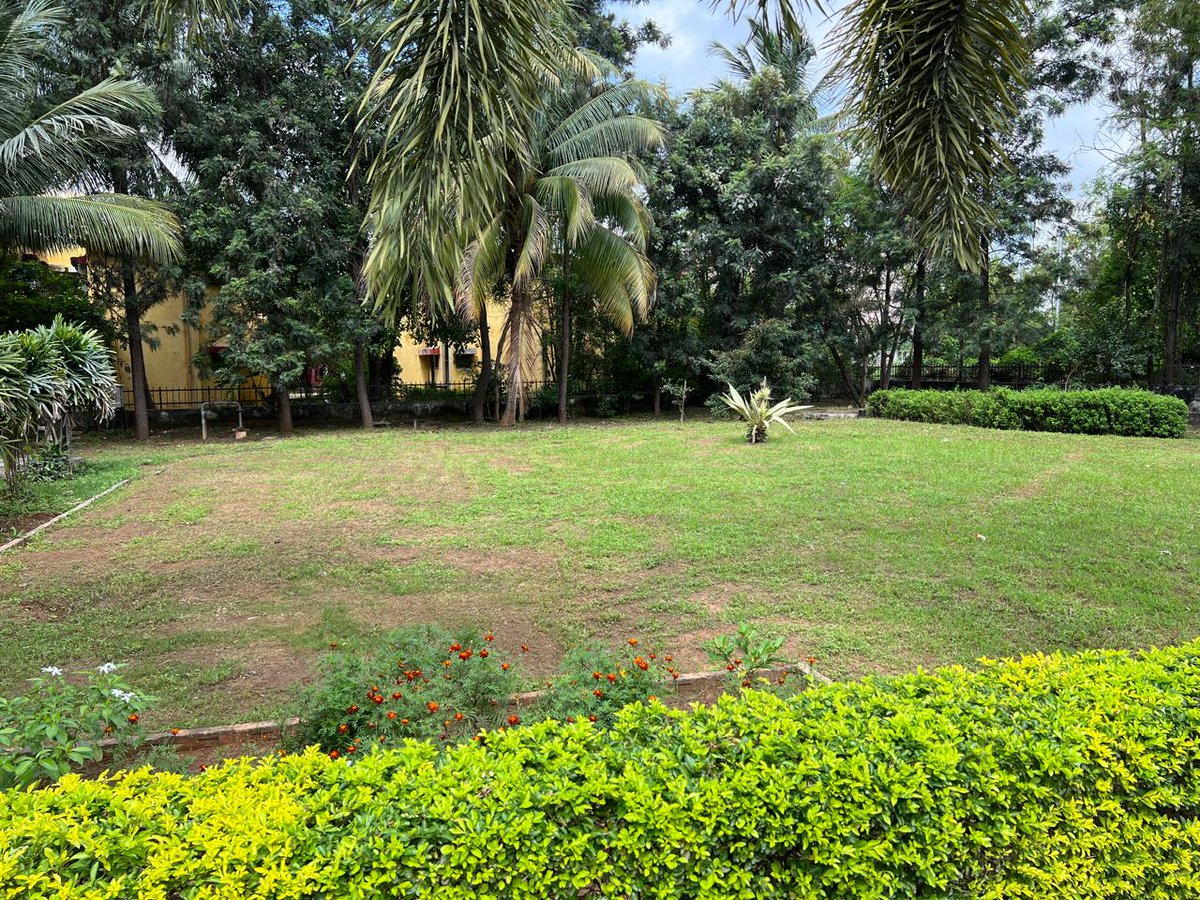 हरित कार्यालय, स्वच्छ आदतें और कुशल कार्यस्थल — यही है हमारा संकल्प! #SpecialCampaign5.0 #EcoFriendly #SwachhataHiSeva