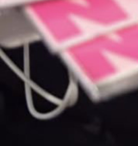 Savannah tweet media