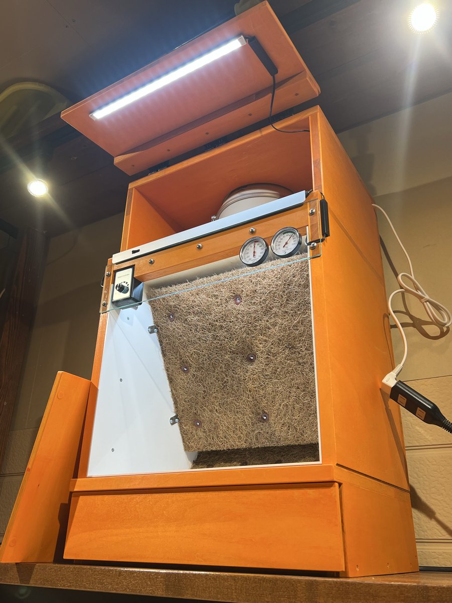 【皆様に知っていただきたく、もしよろしければ拡散ご協力お願い致します🙇‍♂️】

本日完成のMOTOブース・devil
カラーはサンオレンジにアクリル板はガラスカラー
オプションに上棚蓋と高演色LEDをダブル仕様で嵩上げ引き出しもご依頼いただきました
オレンジが人気で連続しておりますね😅