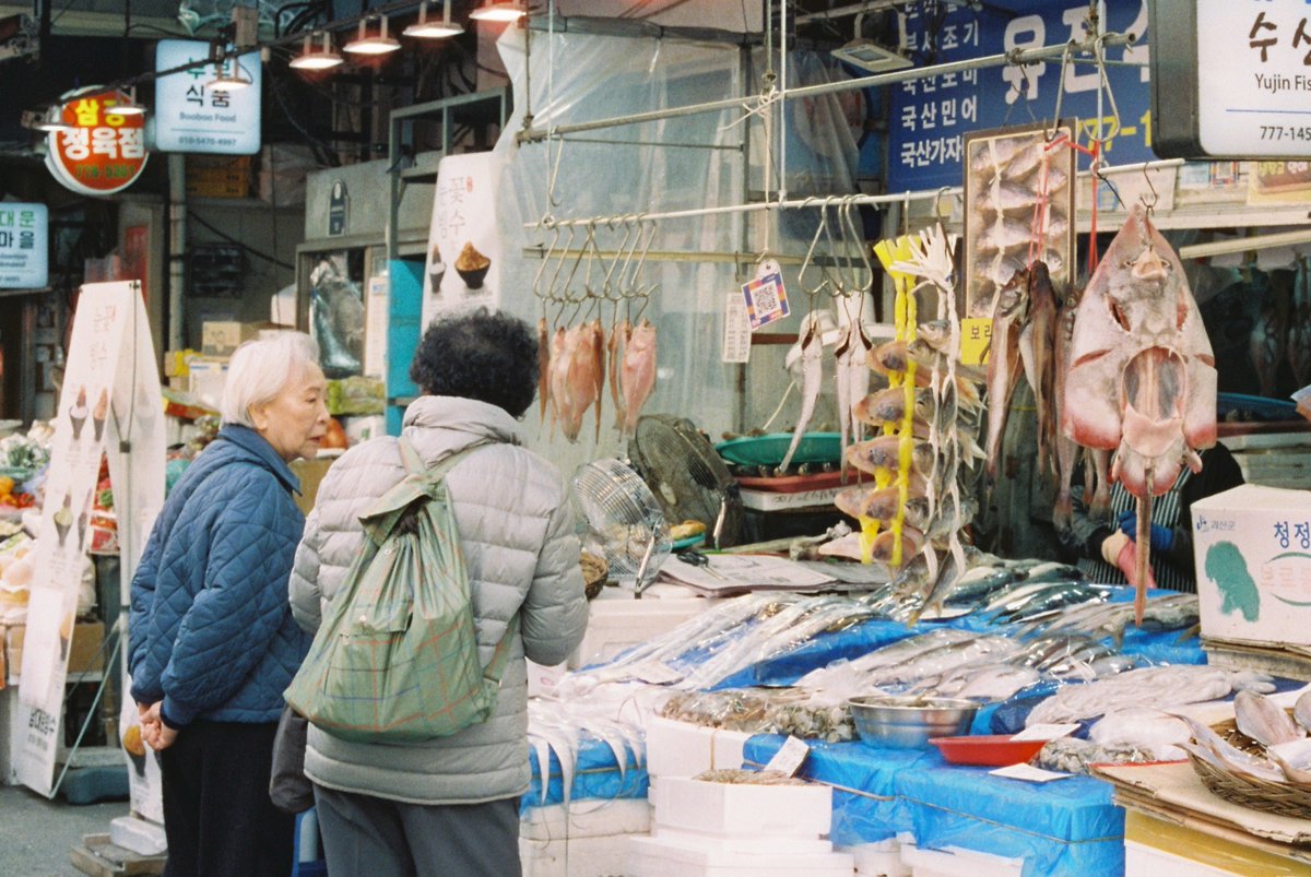 tamara silva bernaschina tweet media