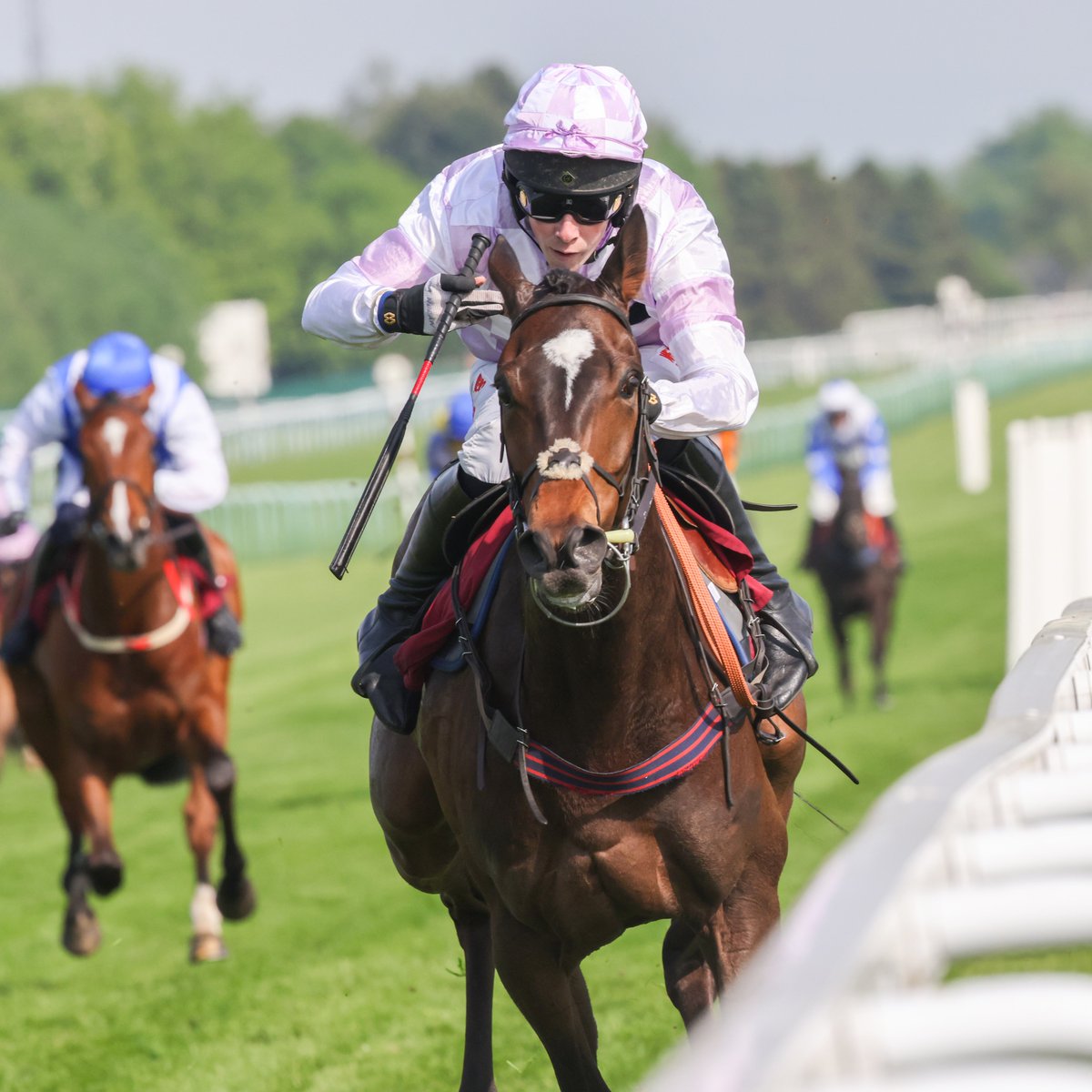 FRENCH SHIP wins the William Hill Each Way Extra Handicap Hurdle 👏