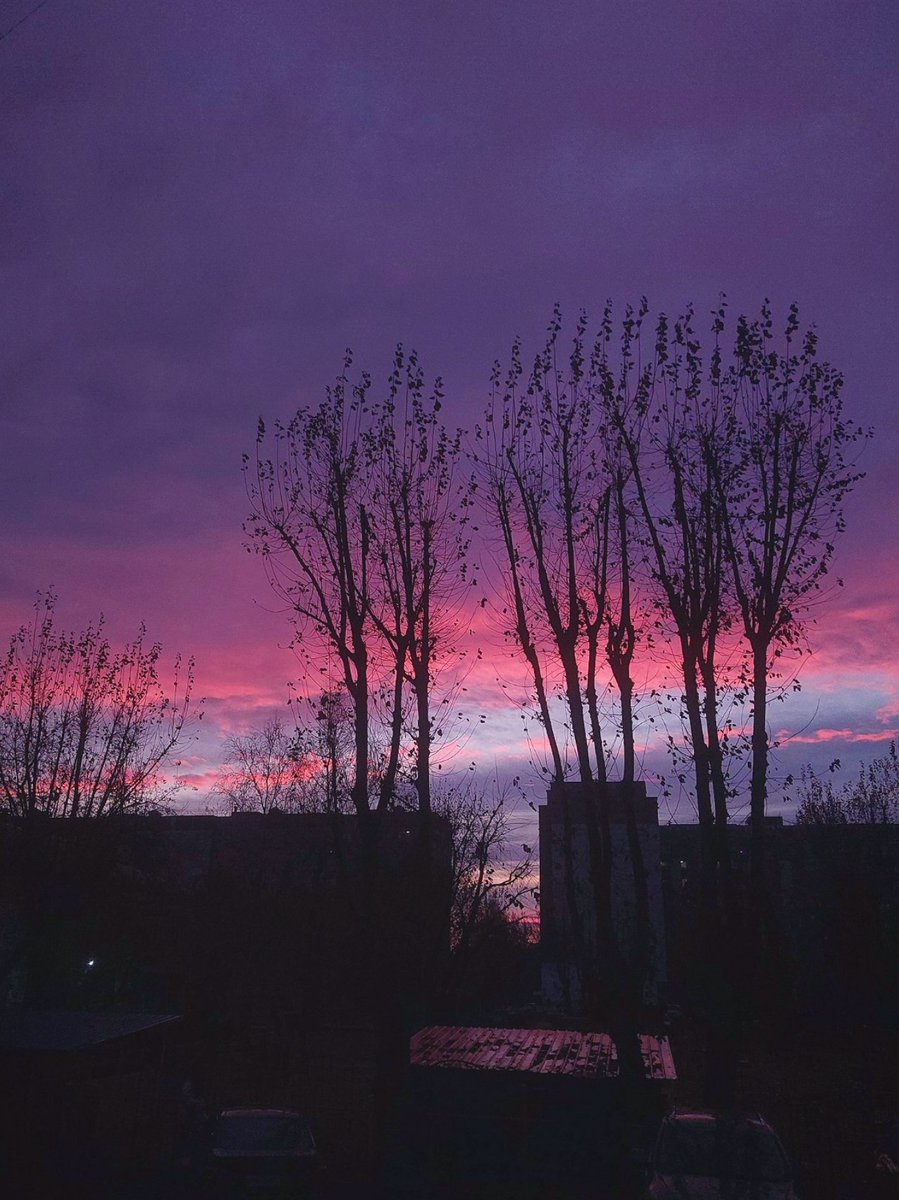 sunset is magical today