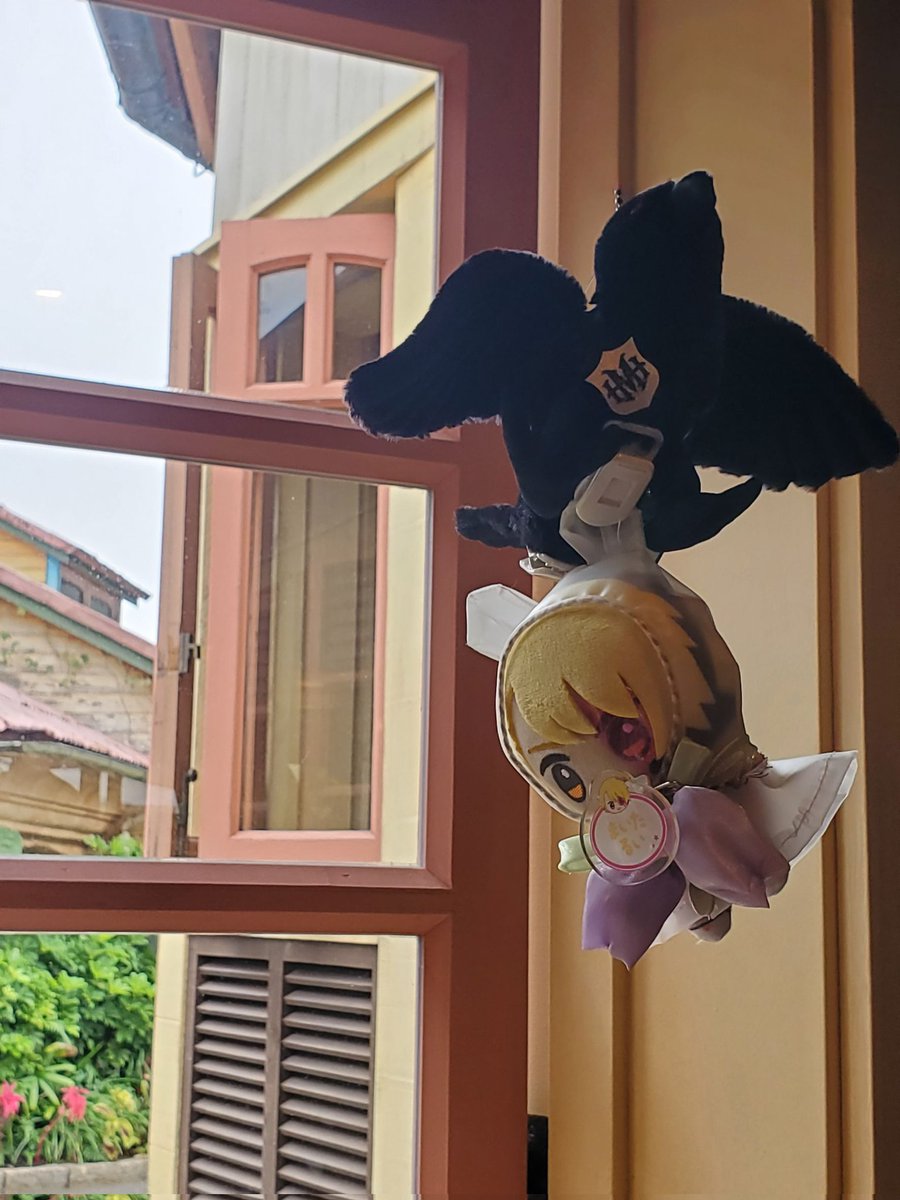 𝚖𝚢𝚊𝚖𝚒🎥 (@amyamimyume) / Posts / X